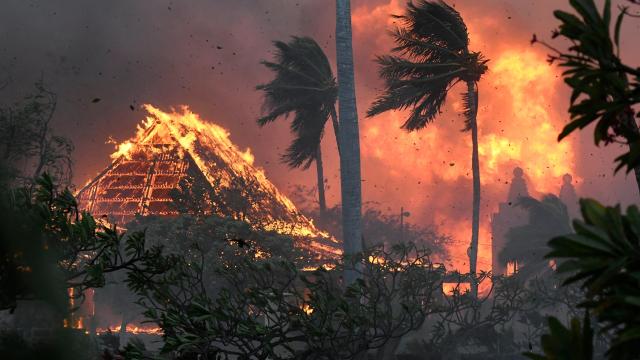 The Maui Fires Have Killed 55 People