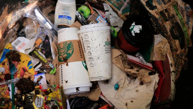 Paper Cups Are Bad for the Environment Too, Study Finds