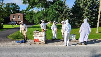Truck Spills Five Million Bees Onto Road in Canada