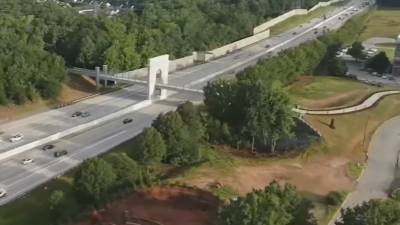 Internet Artist Labels South Carolina Bridge ‘Harambe Memorial’