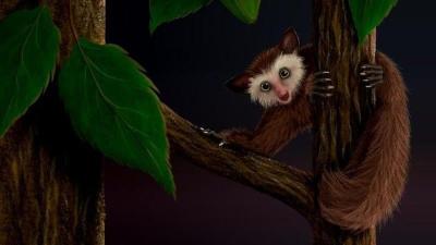 Ancient ‘Lazarus’ Primate Was North America’s Last—Until Humans Arrived, Researchers Say