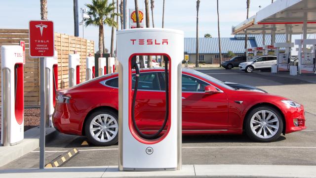 Elon Musk Gets a Wake-Up Call as Tesla Valuation Falls 20% on Shrinking EV Demand