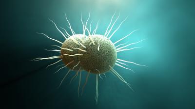 Super Gonorrhea May Have Met Its Nemesis