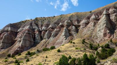The Best Places to See Fossils in the United States