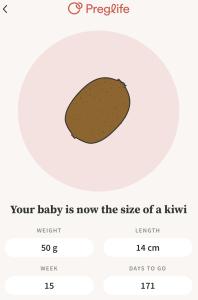 Screenshot showing fruit size in pregnancy app Preglife
