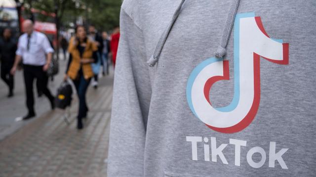 TikTok Testing Whether Users Will Put Up With Every Video Being an Ad