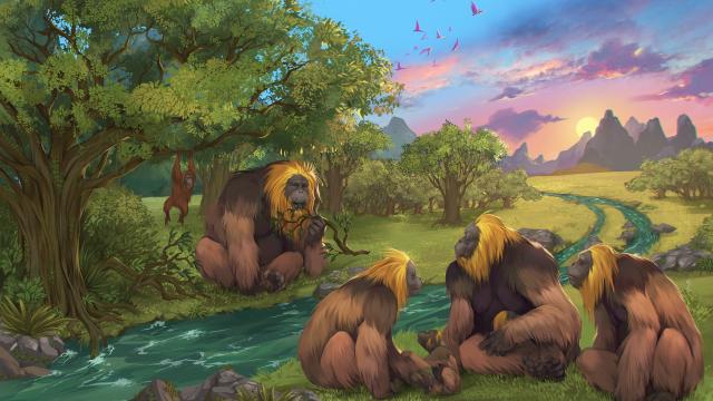 How the Largest Primate Ever Went Extinct