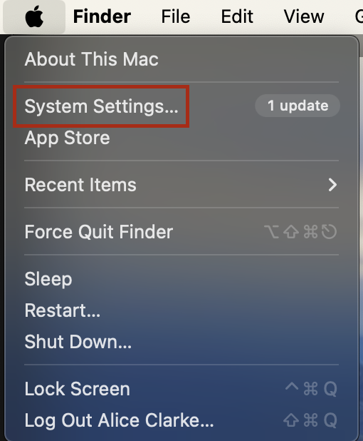 Screenshot of a menu from a Mac showing how to get to system settings