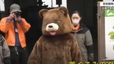 Zoo Workers Chase Human in a Bear Suit to Train for Worst-Case Escape Scenario
