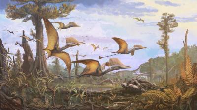 Discovery of Flying Reptile Suggests Jurassic Skies Were Busier Than We Thought