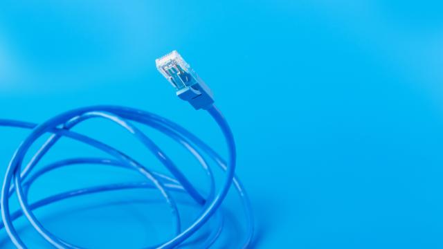 Using a Long Ethernet Cable Won’t Lead to Slow Internet Speeds