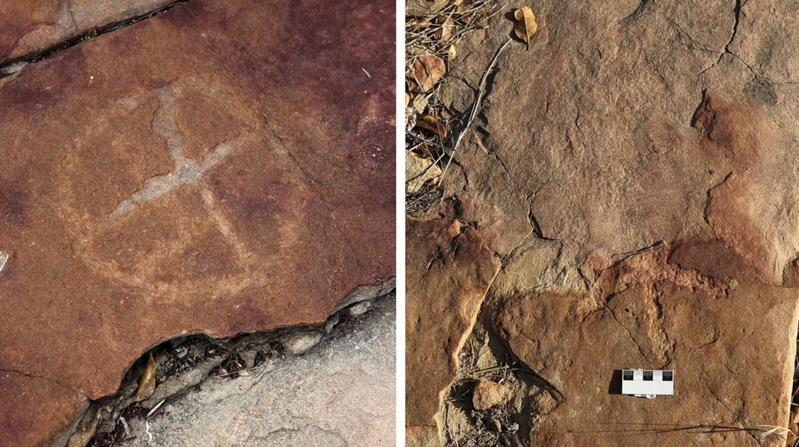 Ancient Humans Left Drawings Next to Dinosaur Footprints in Brazil