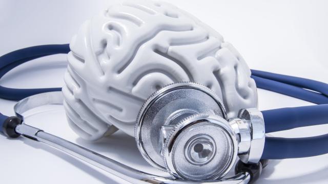 Our Brains Are in Trouble: Nearly Half the World Living with Neurological Illness