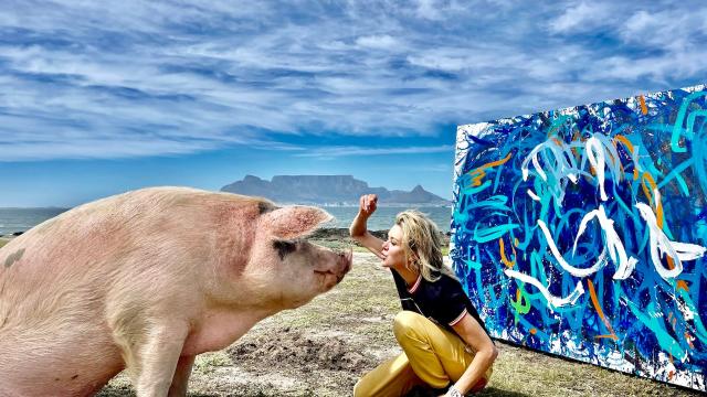 Pigcasso the Famous Painting Pig Whose Art Sold for Thousands Dies at 8-Years-Old