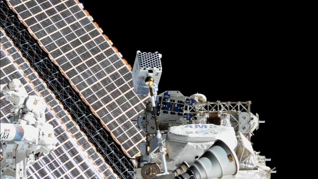 ‘An Exciting Challenge’: NASA Plans Rare Repair Spacewalk to Fix Busted Telescope