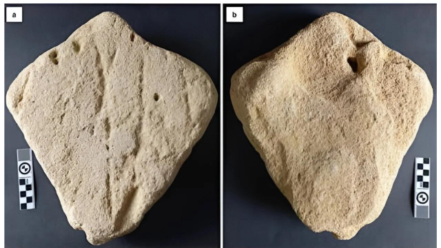 Prehistoric Kite-Shaped Rock Could Represent Oldest-Known Animal Carving