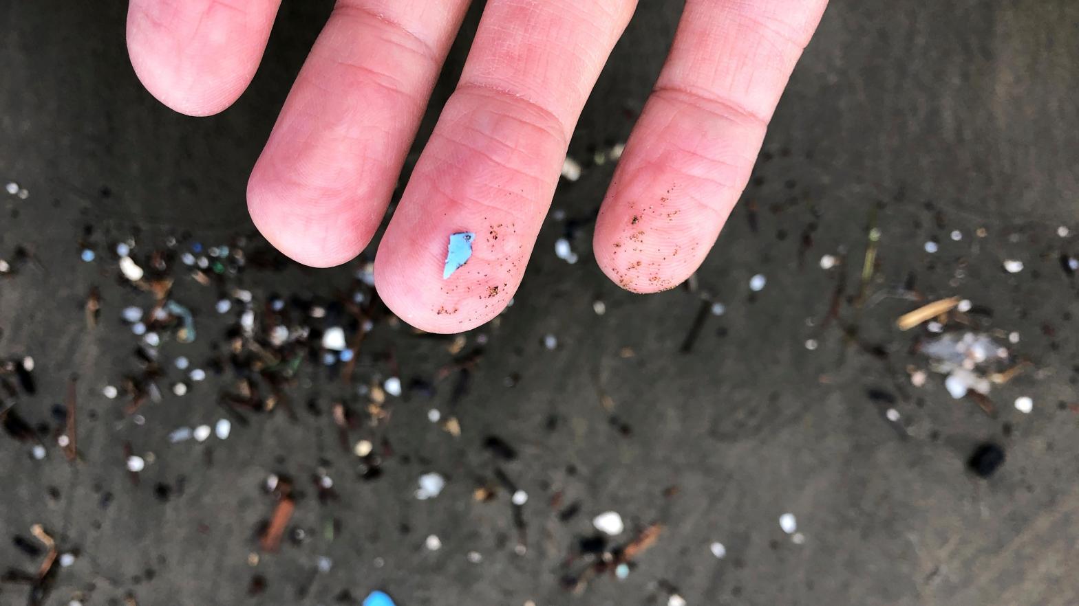 The Most Disturbing Places We’ve Found Microplastics So Far