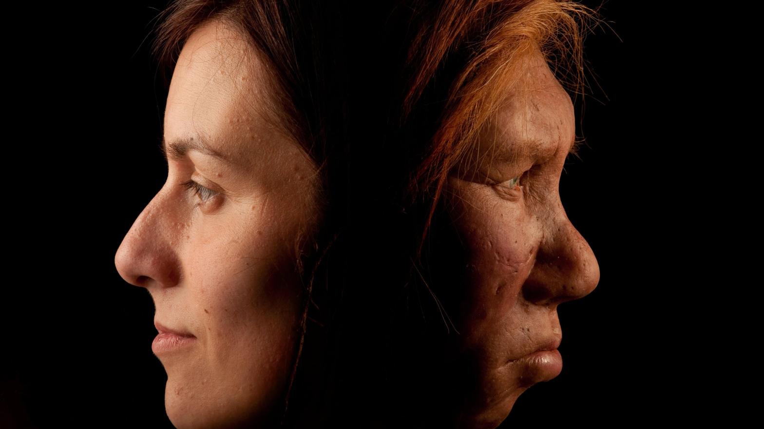 Neanderthal Bones Reveal Presence of Ancient Human Viruses
