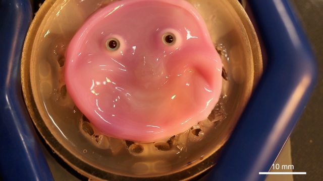 Scientists Make ‘Living’ Skin for Smiling Robots in Nightmare-Inducing Vision of the Future