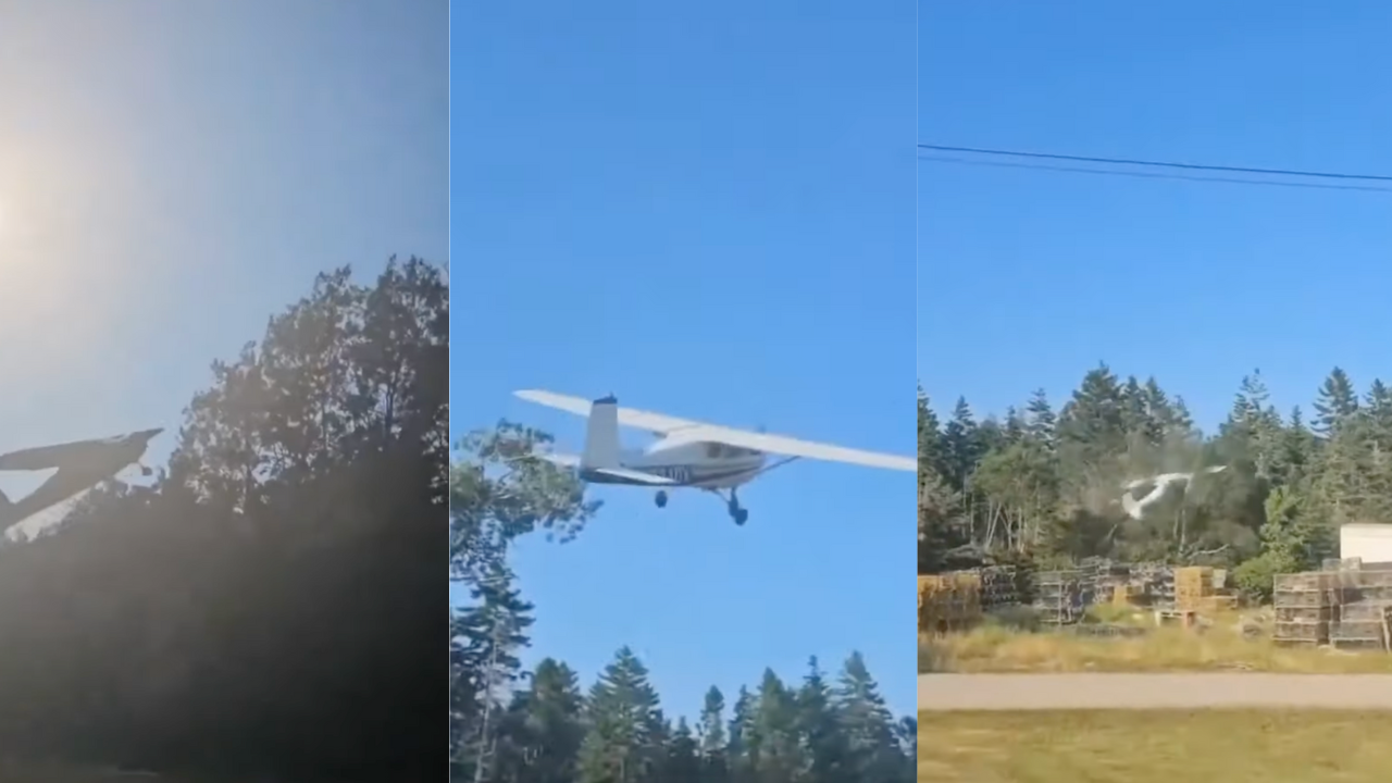 Watch as Trees Catch Plane That Was Too Little And Cute To Gain Altitude